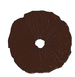 Chocolate Scrunchie