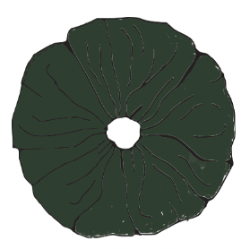 Forest Green Scrunchie